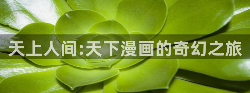 防风少年羞羞动漫：天上人间:天下漫画的奇幻之旅